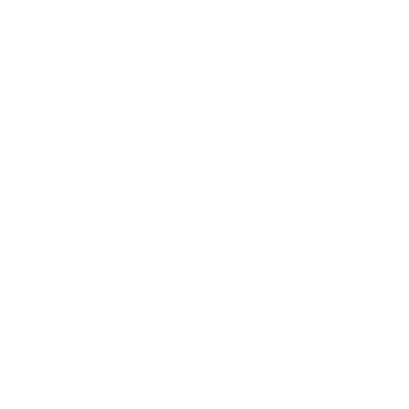 Icon, das die Sicherheit des Onlineshops symbolisiert (aktiver Status)
